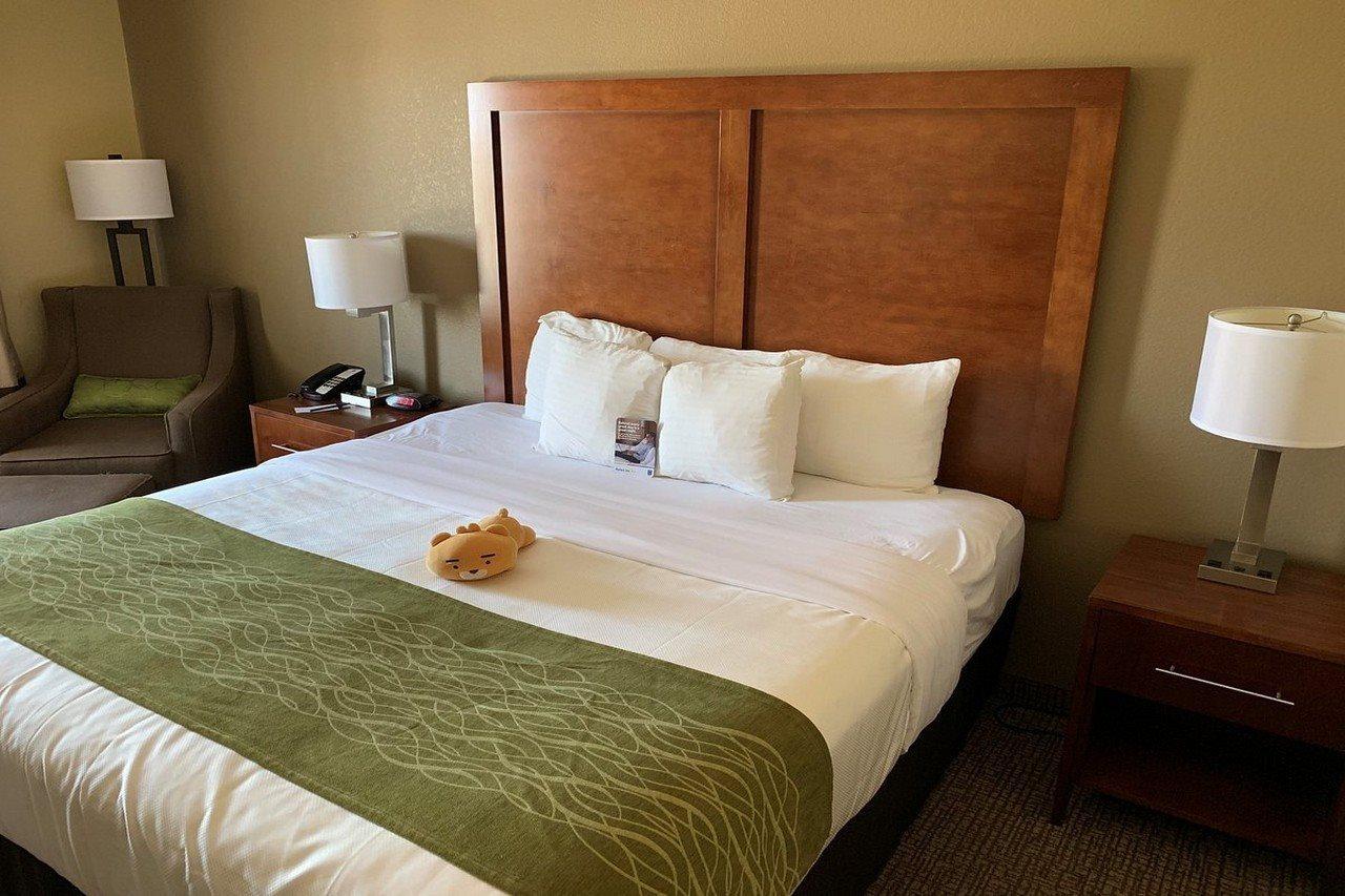 Comfort Inn Midland South I-20 Ngoại thất bức ảnh